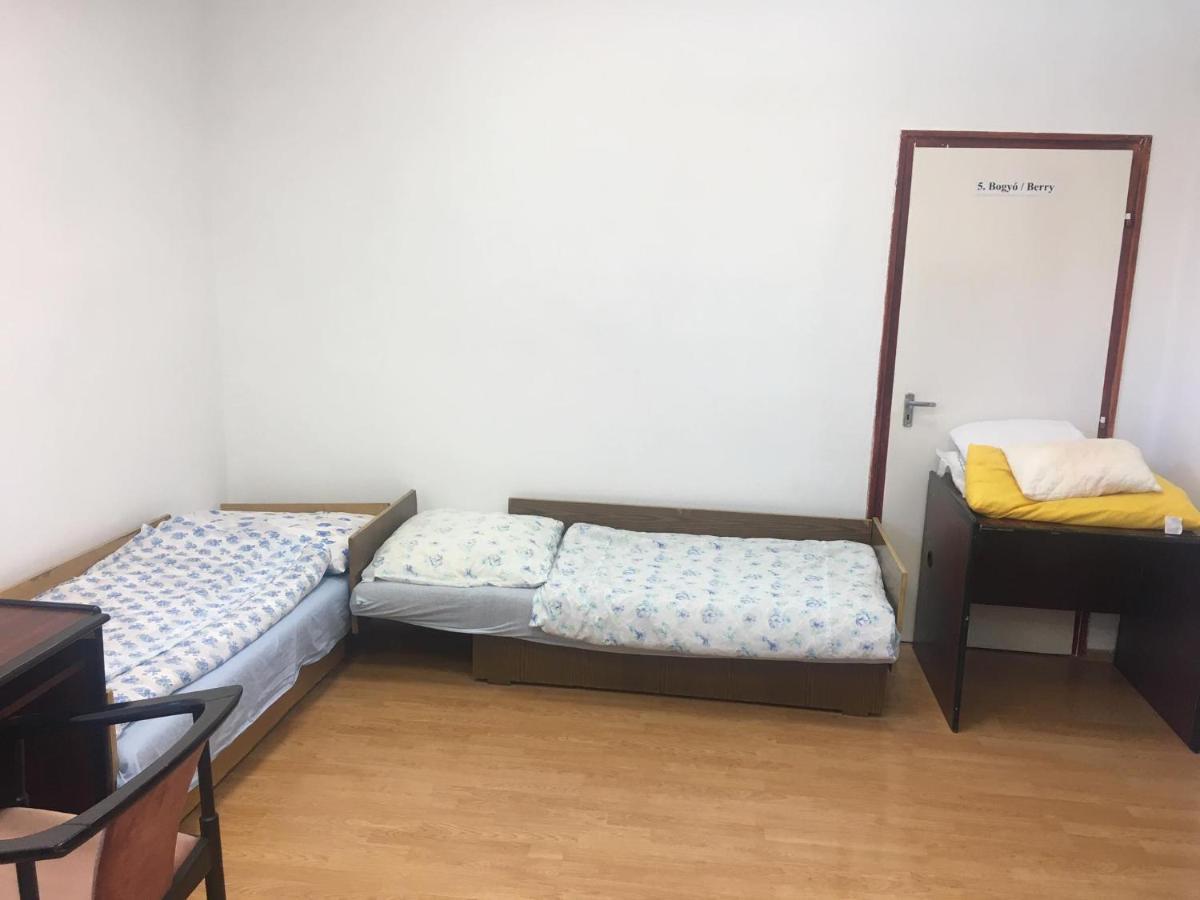 Hostel Goencoelhaz Vác Exteriér fotografie